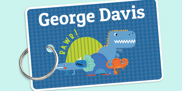 Colour Themed Bag Tags - Designer themes