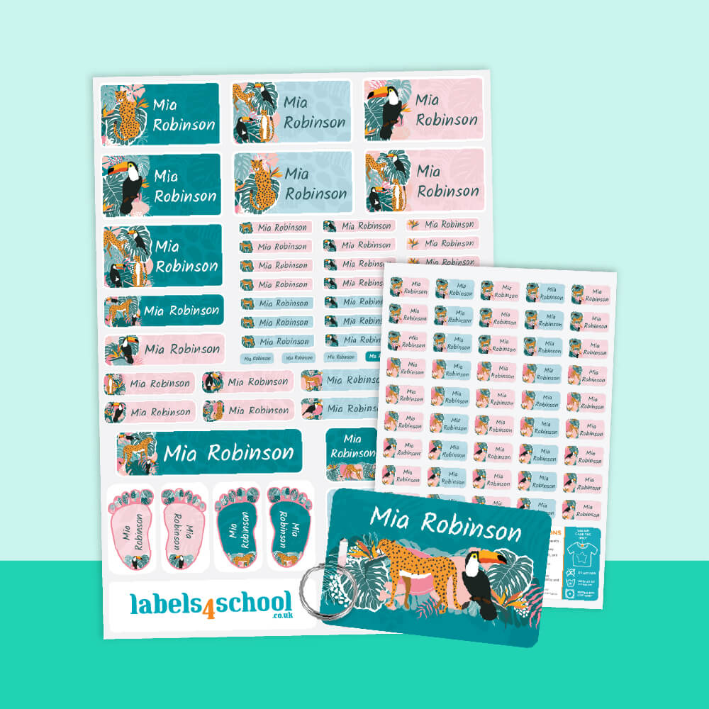 Starter Pack Designer themes