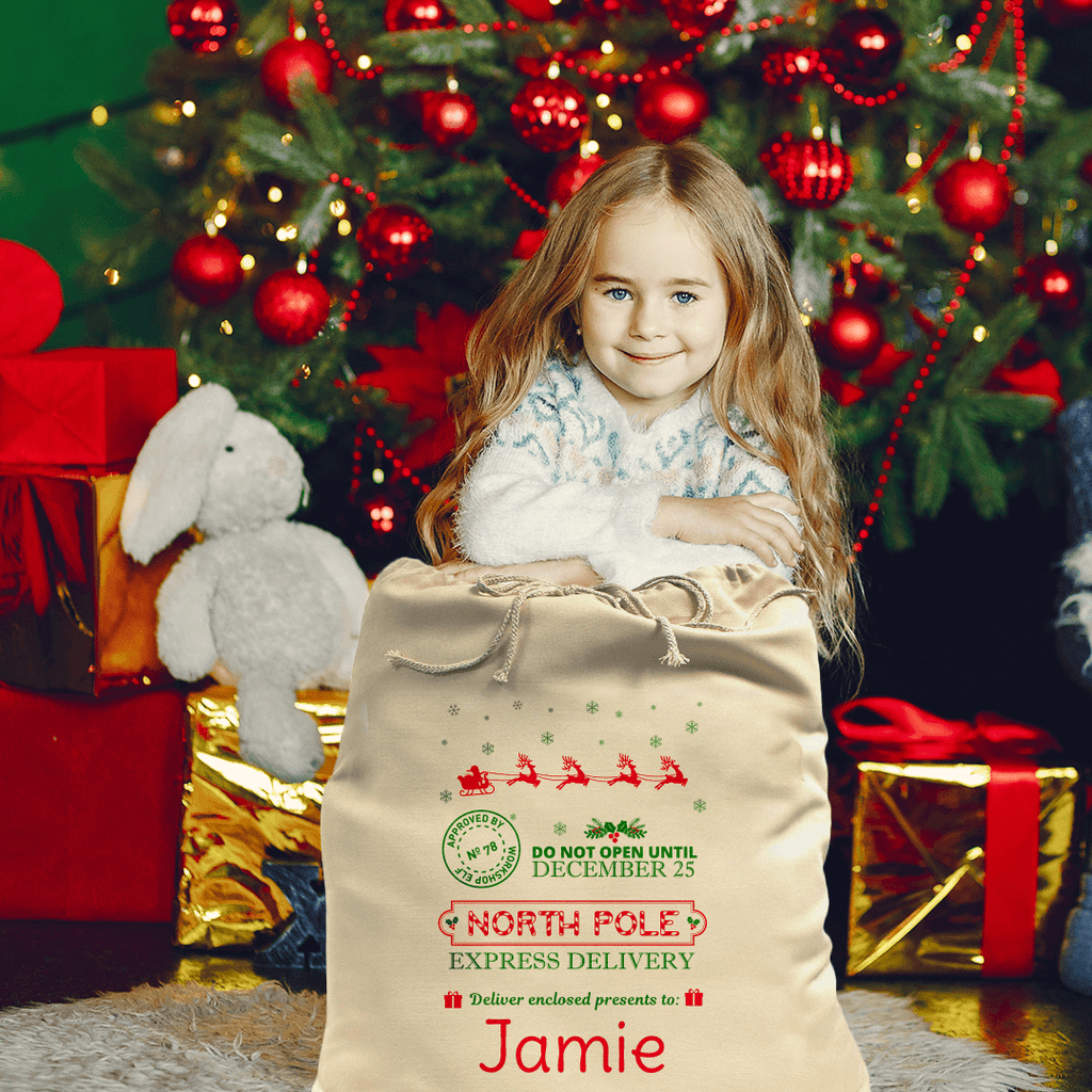 Babys First Christmas - Santa Sack